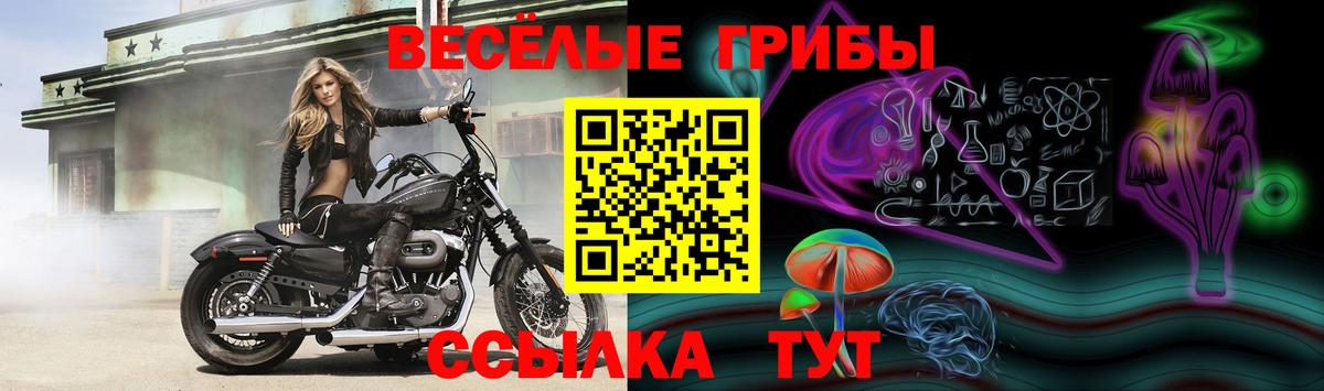 Галлюциногенные грибы GOLDEN TEACHER  Вход с VPN  Десногорск 