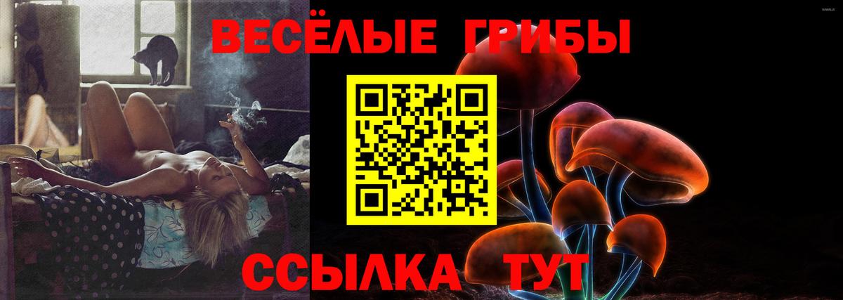 Галлюциногенные грибы прущие грибы Десногорск